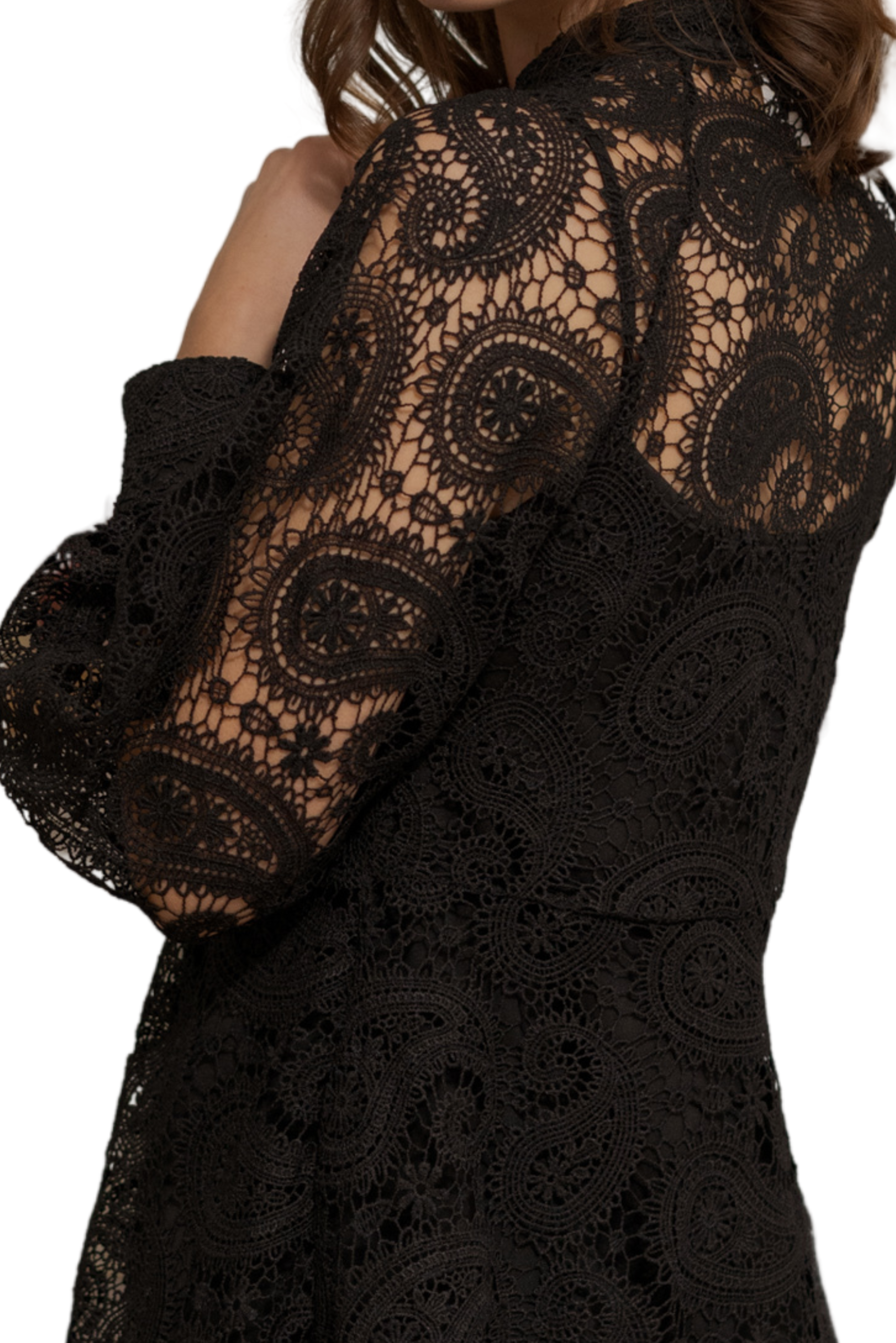 Liane Long Sleeve Mini Lace Dress (Black)